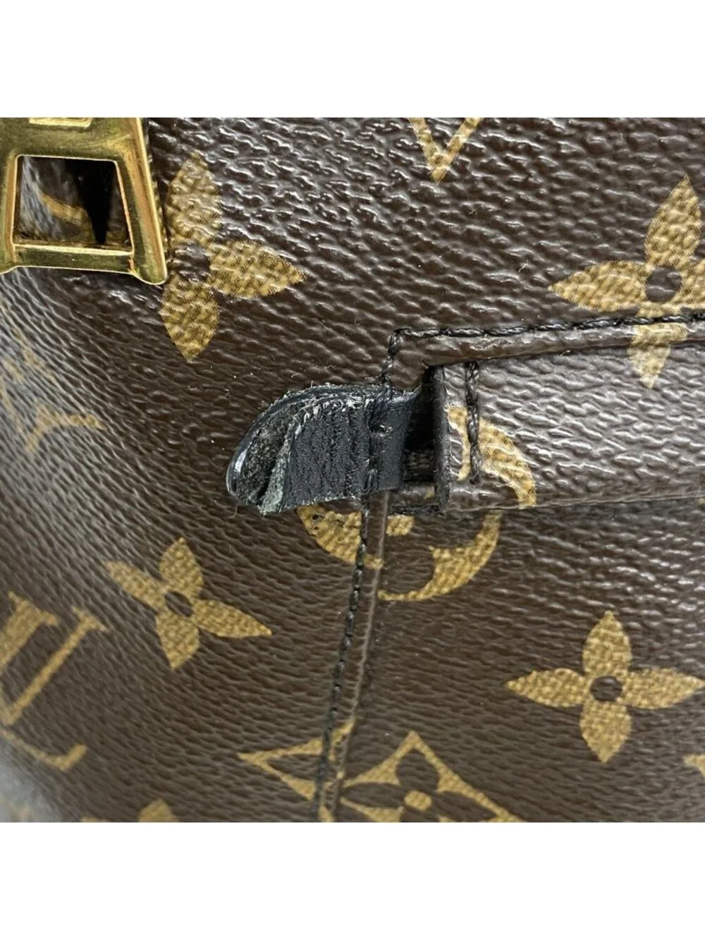 Louis Vuitton Backpack Monogram Palm Springs PM Brown